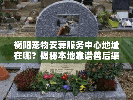 衡阳宠物安葬服务中心地址在哪？揭秘本地靠谱善后渠道