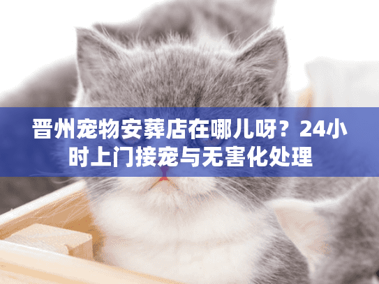晋州宠物安葬店在哪儿呀？24小时上门接宠与无害化处理