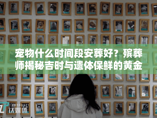 宠物什么时间段安葬好?殡葬师揭秘吉时与遗体保鲜的黄金法则 宠物什么时间段安葬好?殡葬师揭秘吉时与遗体保鲜的黄金法则