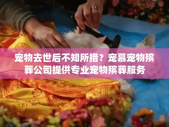 宠物去世后不知所措？宠慕宠物殡葬公司提供专业宠物殡葬服务