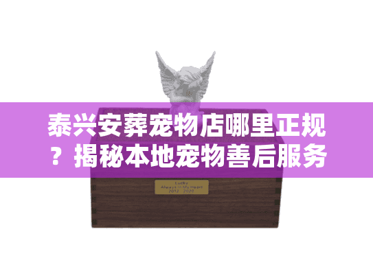 泰兴安葬宠物店哪里正规？揭秘本地宠物善后服务避坑实录