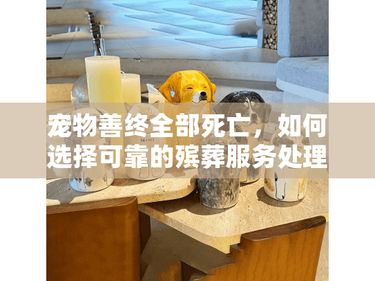 宠物善终全部死亡，如何选择可靠的殡葬服务处理多只宠物离世