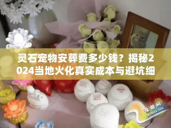 灵石宠物安葬费多少钱？揭秘2024当地火化真实成本与避坑细节