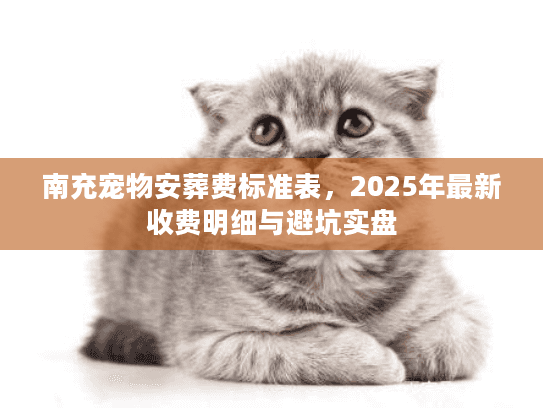 南充宠物安葬费标准表，2025年最新收费明细与避坑实盘
