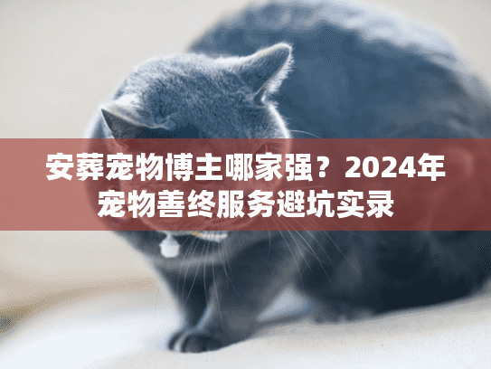 安葬宠物博主哪家强？2024年宠物善终服务避坑实录
