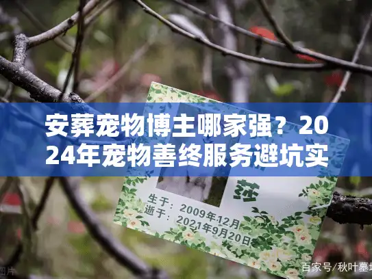 安葬宠物博主哪家强？2024年宠物善终服务避坑实录