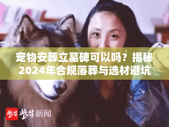 宠物安葬立墓碑可以吗?揭秘2024年合规落葬与选材避坑 宠物安葬立墓碑可以吗?揭秘2024年合规落葬与选材避坑
