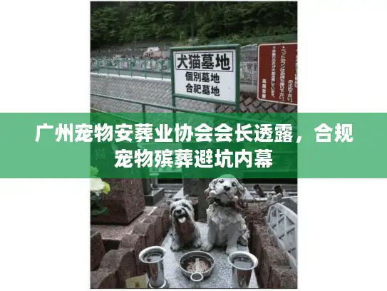 广州宠物安葬业协会会长透露,合规宠物殡葬避坑内幕 广州宠物安葬业协会会长透露,合规宠物殡葬避坑内幕