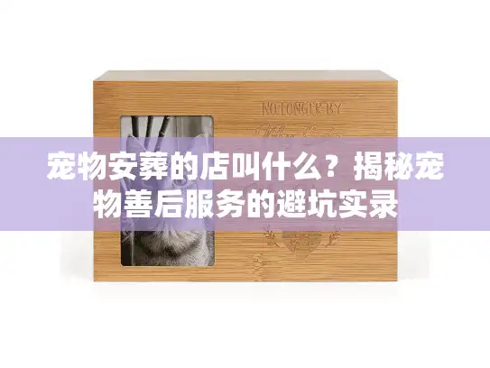 宠物安葬的店叫什么？揭秘宠物善后服务的避坑实录