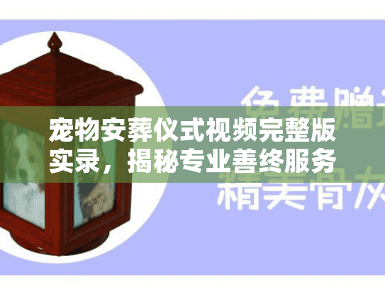 宠物安葬仪式视频完整版实录，揭秘专业善终服务的真实流程