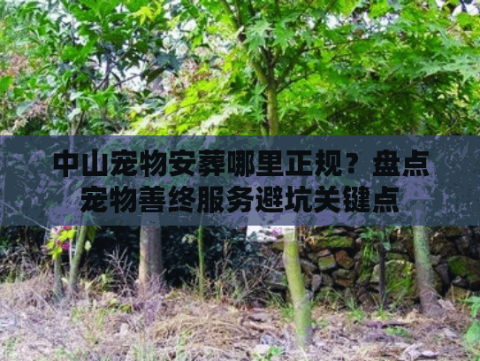 中山宠物安葬哪里正规?盘点宠物善终服务避坑关键点 中山宠物安葬哪里正规?盘点宠物善终服务避坑关键点