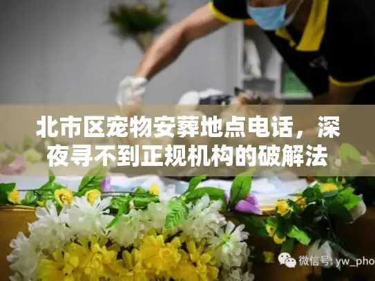 北市区宠物安葬地点电话，深夜寻不到正规机构的破解法