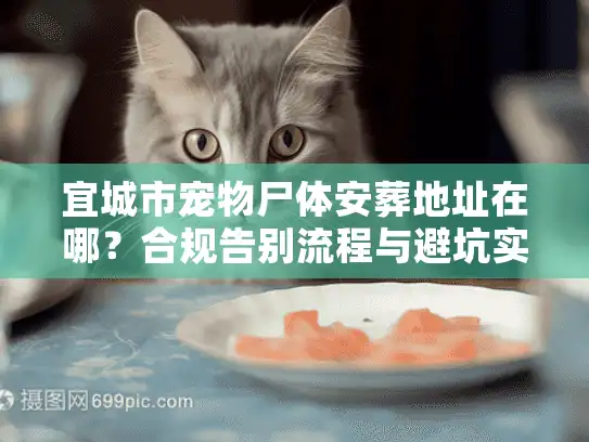 宜城市宠物尸体安葬地址在哪?合规告别流程与避坑实录 宜城市宠物尸体安葬地址在哪?合规告别流程与避坑实录