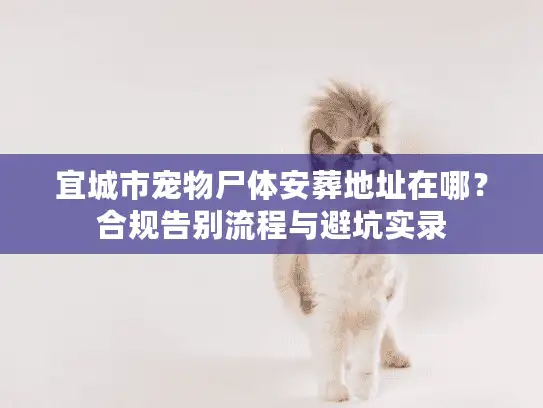 宜城市宠物尸体安葬地址在哪?合规告别流程与避坑实录 宜城市宠物尸体安葬地址在哪?合规告别流程与避坑实录