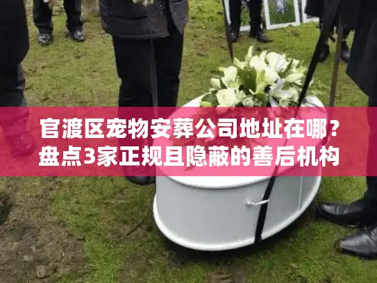 官渡区宠物安葬公司地址在哪？盘点3家正规且隐蔽的善后机构
