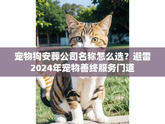 宠物狗安葬公司名称怎么选？避雷2024年宠物善终服务门道