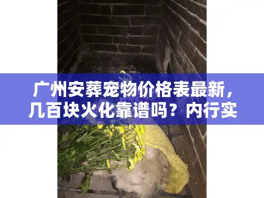 广州安葬宠物价格表最新，几百块火化靠谱吗？内行实探避坑