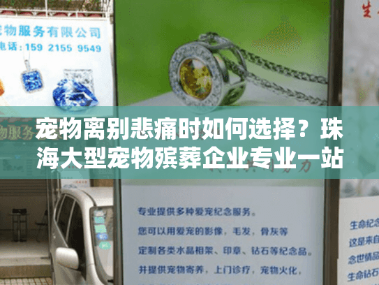 宠物离别悲痛时如何选择？珠海大型宠物殡葬企业专业一站式服务