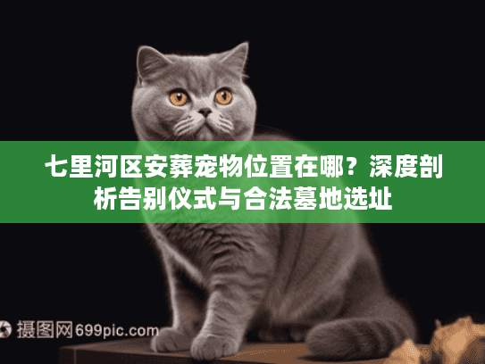 七里河区安葬宠物位置在哪？深度剖析告别仪式与合法墓地选址
