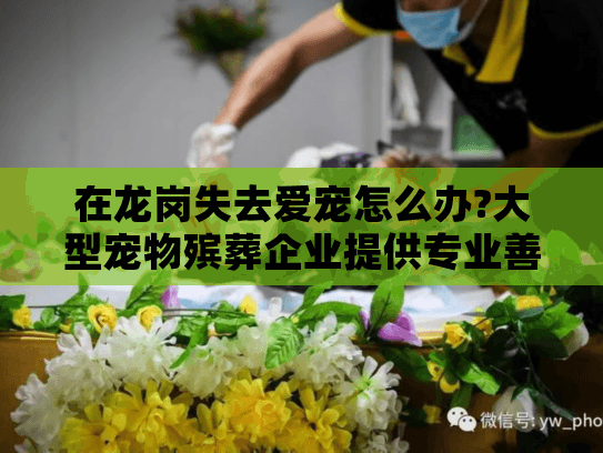 在龙岗失去爱宠怎么办?大型宠物殡葬企业提供专业善后服务