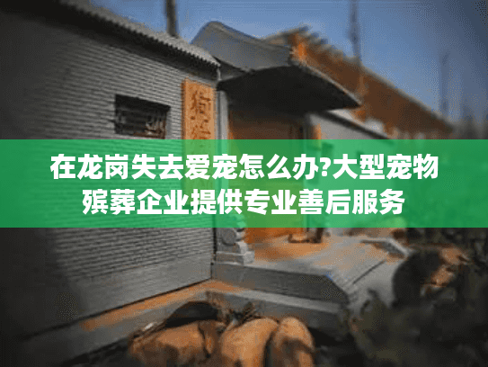 在龙岗失去爱宠怎么办?大型宠物殡葬企业提供专业善后服务