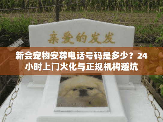 新会宠物安葬电话号码是多少？24小时上门火化与正规机构避坑