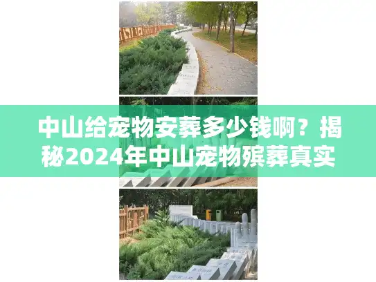 中山给宠物安葬多少钱啊?揭秘2024年中山宠物殡葬真实收费明细 中山给宠物安葬多少钱啊?揭秘2024年中山宠物殡葬真实收费明细
