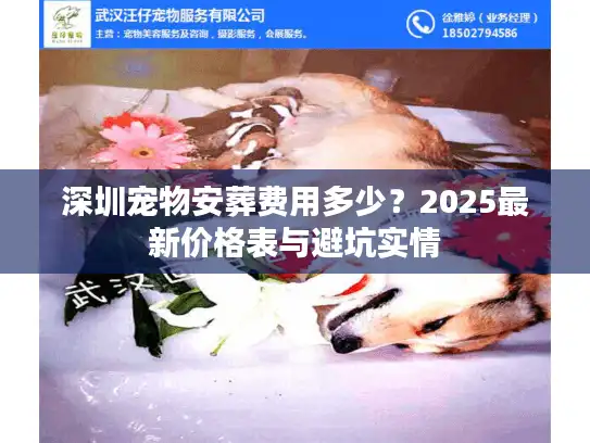 深圳宠物安葬费用多少？2025最新价格表与避坑实情