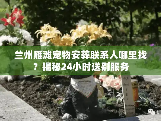 兰州雁滩宠物安葬联系人哪里找?揭秘24小时送别服务 兰州雁滩宠物安葬联系人哪里找?揭秘24小时送别服务