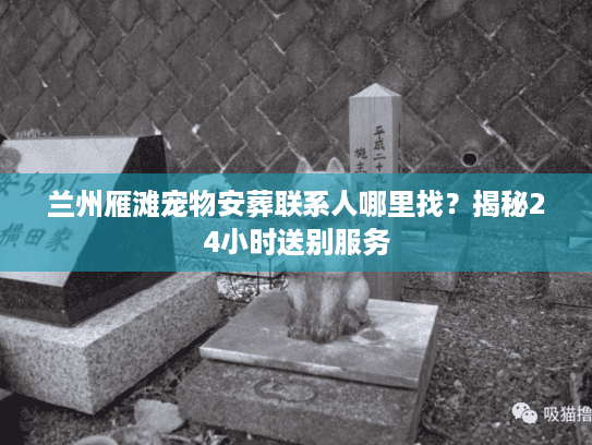 兰州雁滩宠物安葬联系人哪里找?揭秘24小时送别服务 兰州雁滩宠物安葬联系人哪里找?揭秘24小时送别服务
