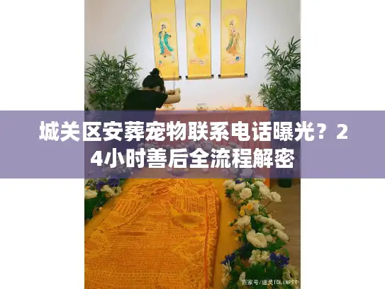城关区安葬宠物联系电话曝光？24小时善后全流程解密