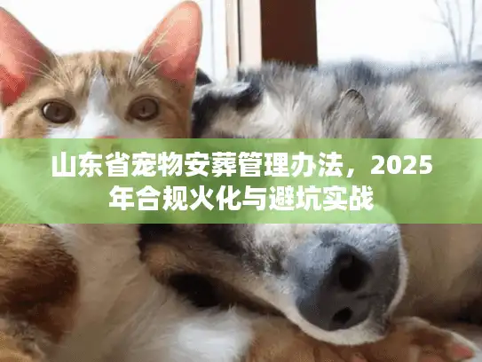 山东省宠物安葬管理办法,2025年合规火化与避坑实战 山东省宠物安葬管理办法,2025年合规火化与避坑实战