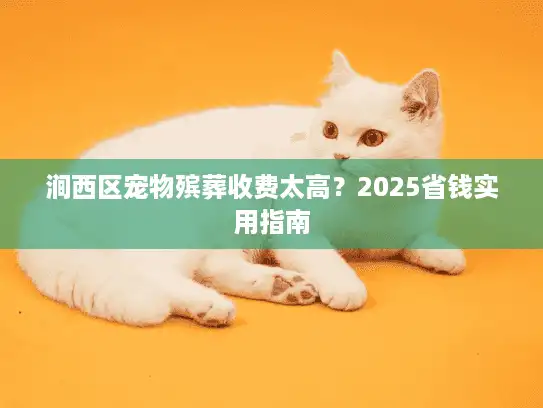 涧西区宠物殡葬收费太高？2025省钱实用指南