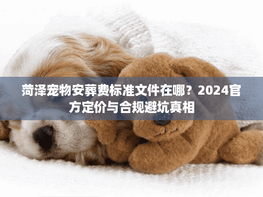 菏泽宠物安葬费标准文件在哪？2024官方定价与合规避坑真相