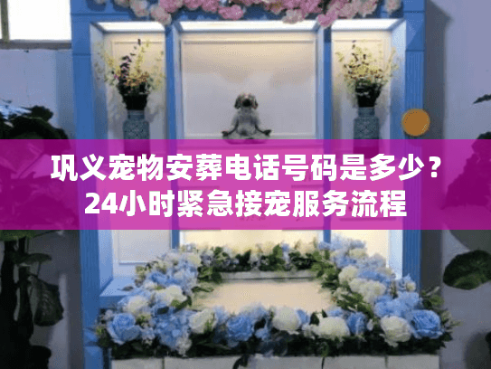 巩义宠物安葬电话号码是多少？24小时紧急接宠服务流程