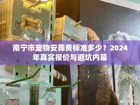 南宁市宠物安葬费标准多少？2024年真实报价与避坑内幕