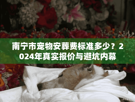 南宁市宠物安葬费标准多少？2024年真实报价与避坑内幕