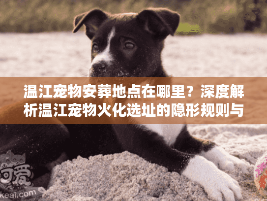 温江宠物安葬地点在哪里?深度解析温江宠物火化选址的隐形规则与避坑细节 温江宠物安葬地点在哪里?深度解析温江宠物火化选址的隐形规则与避坑细节