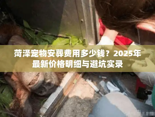 菏泽宠物安葬费用多少钱?2025年最新价格明细与避坑实录 菏泽宠物安葬费用多少钱?2025年最新价格明细与避坑实录