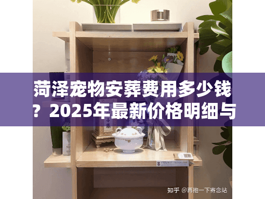 菏泽宠物安葬费用多少钱?2025年最新价格明细与避坑实录 菏泽宠物安葬费用多少钱?2025年最新价格明细与避坑实录