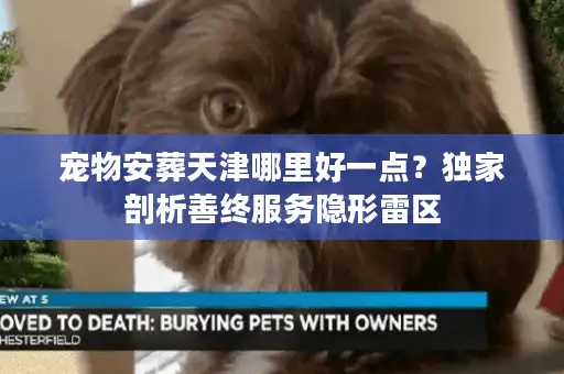 宠物安葬天津哪里好一点？独家剖析善终服务隐形雷区