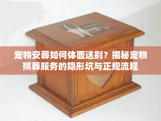 宠物安葬如何体面送别?揭秘宠物殡葬服务的隐形坑与正规流程 宠物安葬如何体面送别?揭秘宠物殡葬服务的隐形坑与正规流程