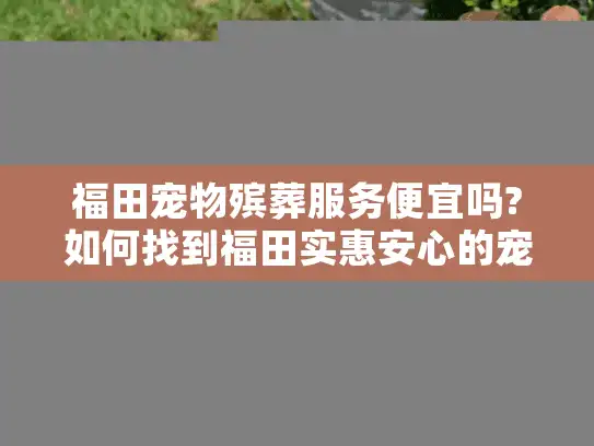 福田宠物殡葬服务便宜吗?如何找到福田实惠安心的宠物身后安排?