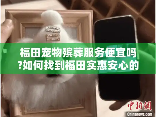 福田宠物殡葬服务便宜吗?如何找到福田实惠安心的宠物身后安排?