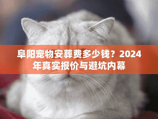阜阳宠物安葬费多少钱？2024年真实报价与避坑内幕