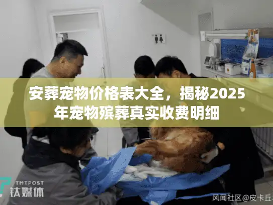安葬宠物价格表大全，揭秘2025年宠物殡葬真实收费明细