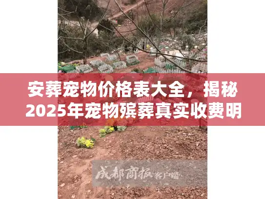 安葬宠物价格表大全，揭秘2025年宠物殡葬真实收费明细