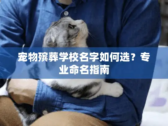 宠物殡葬学校名字如何选？专业命名指南