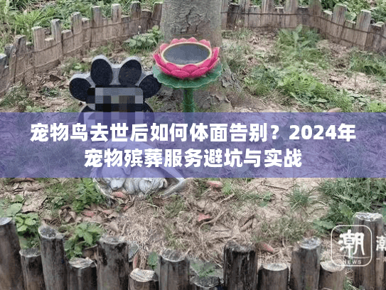 宠物鸟去世后如何体面告别?2024年宠物殡葬服务避坑与实战 宠物鸟去世后如何体面告别?2024年宠物殡葬服务避坑与实战
