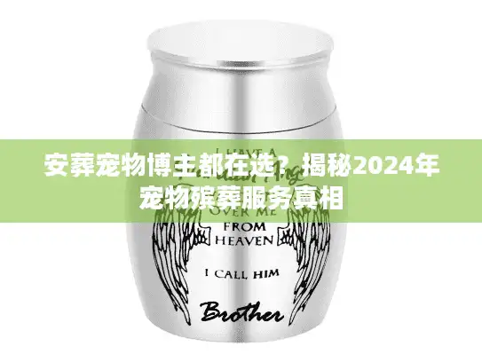 安葬宠物博主都在选？揭秘2024年宠物殡葬服务真相